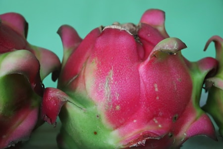 Close-up view of a dragon fruit displaying its vibrant pink and green skin with distinctive scale-like structures. The fruit's surface has a textured appearance, and the colors fade subtly from bright pink to green at the tips.