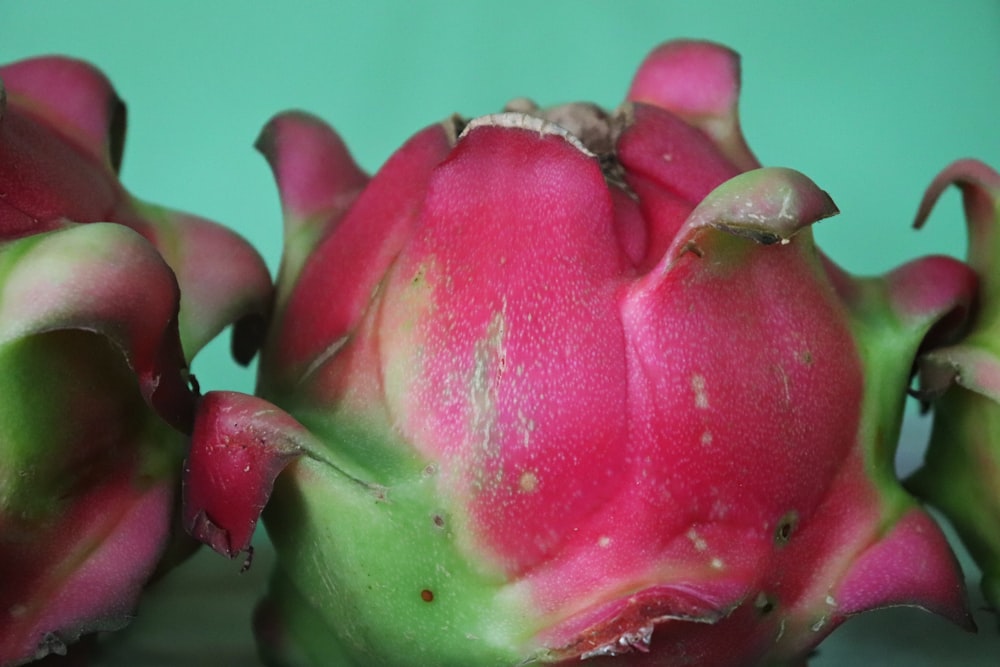 fruta do dragão rosa e verde