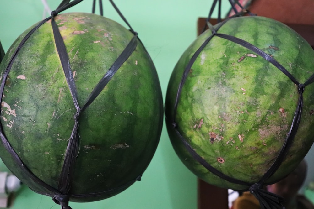 green watermelon fruit on black metal rack