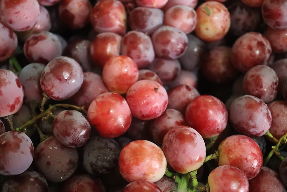 red and green round fruits