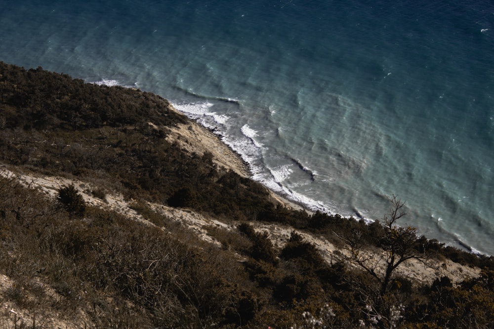 aerial view of beach during daytime