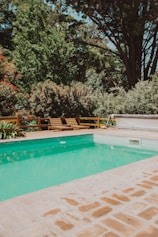 green trees beside swimming pool during daytime