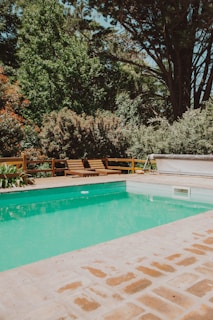 green trees beside swimming pool during daytime