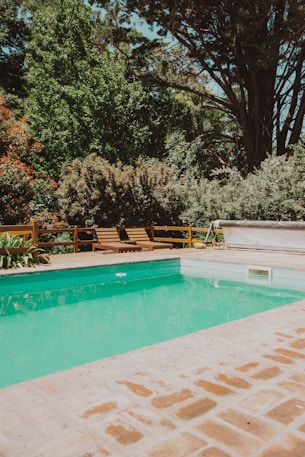 green trees beside swimming pool during daytime