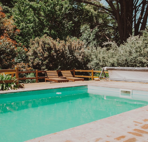 green trees beside swimming pool during daytime