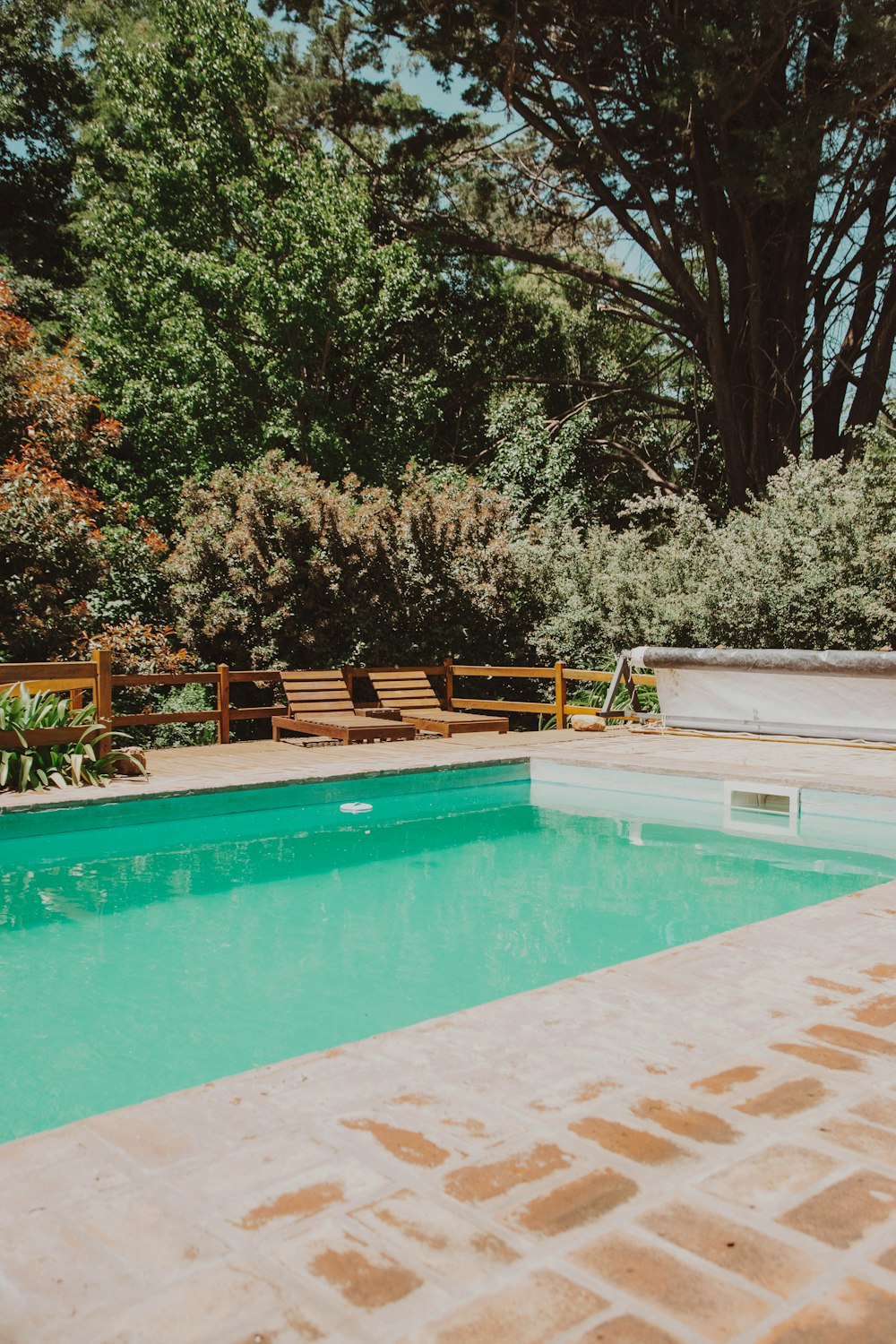 green trees beside swimming pool during daytime