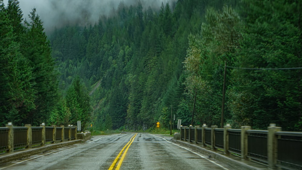 昼間の緑の木々の間の灰色のコンクリート道路