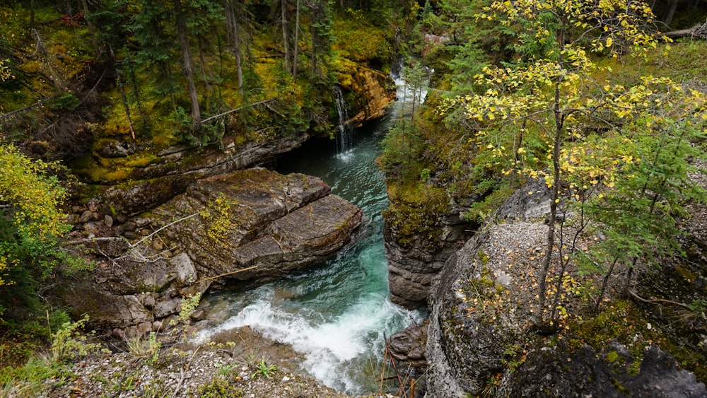 Waterfalls at Maligne Canyon and River Jasper
