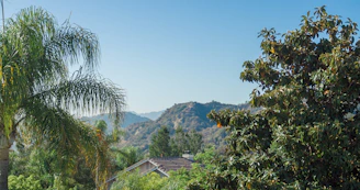 A panoramic view of Canopy Hills 2 condo showcasing its earth-toned exterior against a lush green backdrop.