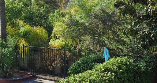 A lush garden area featuring various types of greenery including bushes, trees, and flowering plants. A black metal fence runs across the middle, partially obscured by the foliage. A piece of blue fabric or cloth hangs over the fence, adding a splash of color amidst the greens. The sunlight filters through the leaves creating a natural, peaceful atmosphere.