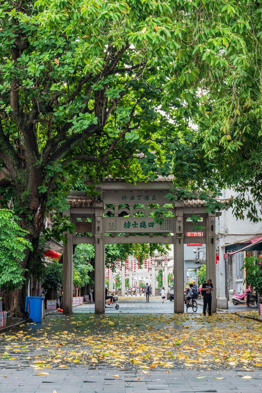 people walking on sidewalk near green trees during daytime