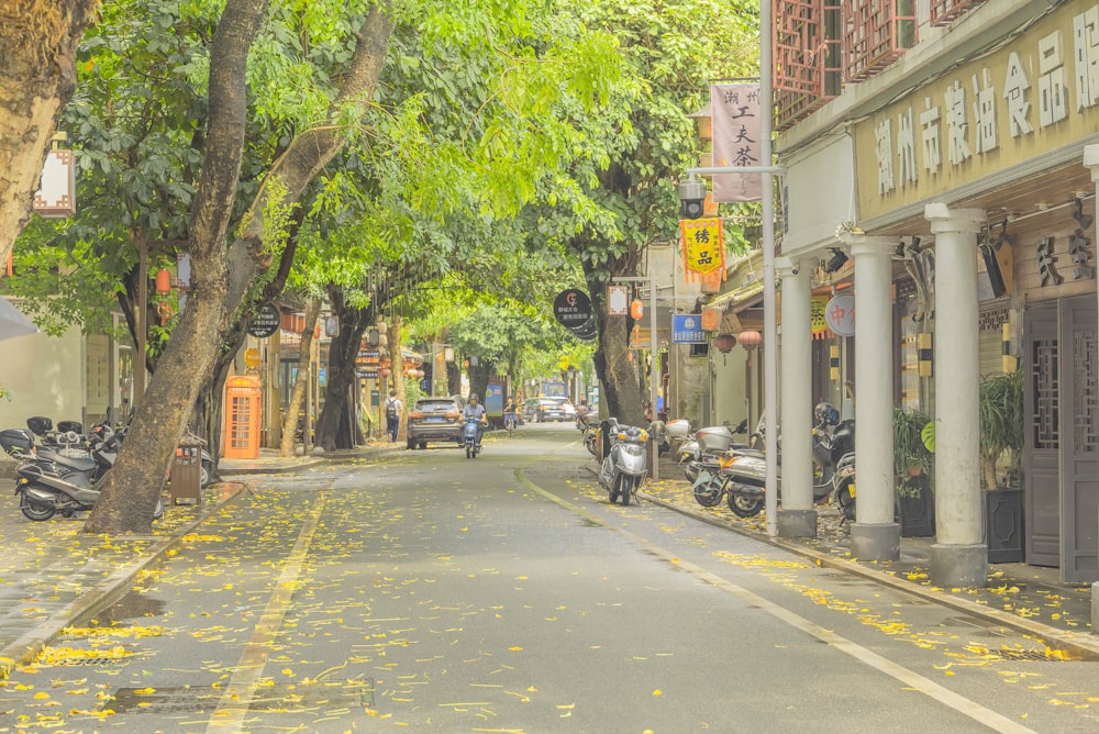 man in black jacket riding bicycle on road during daytime