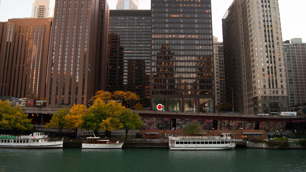 white and black boat on water near green trees and high rise buildings during daytime