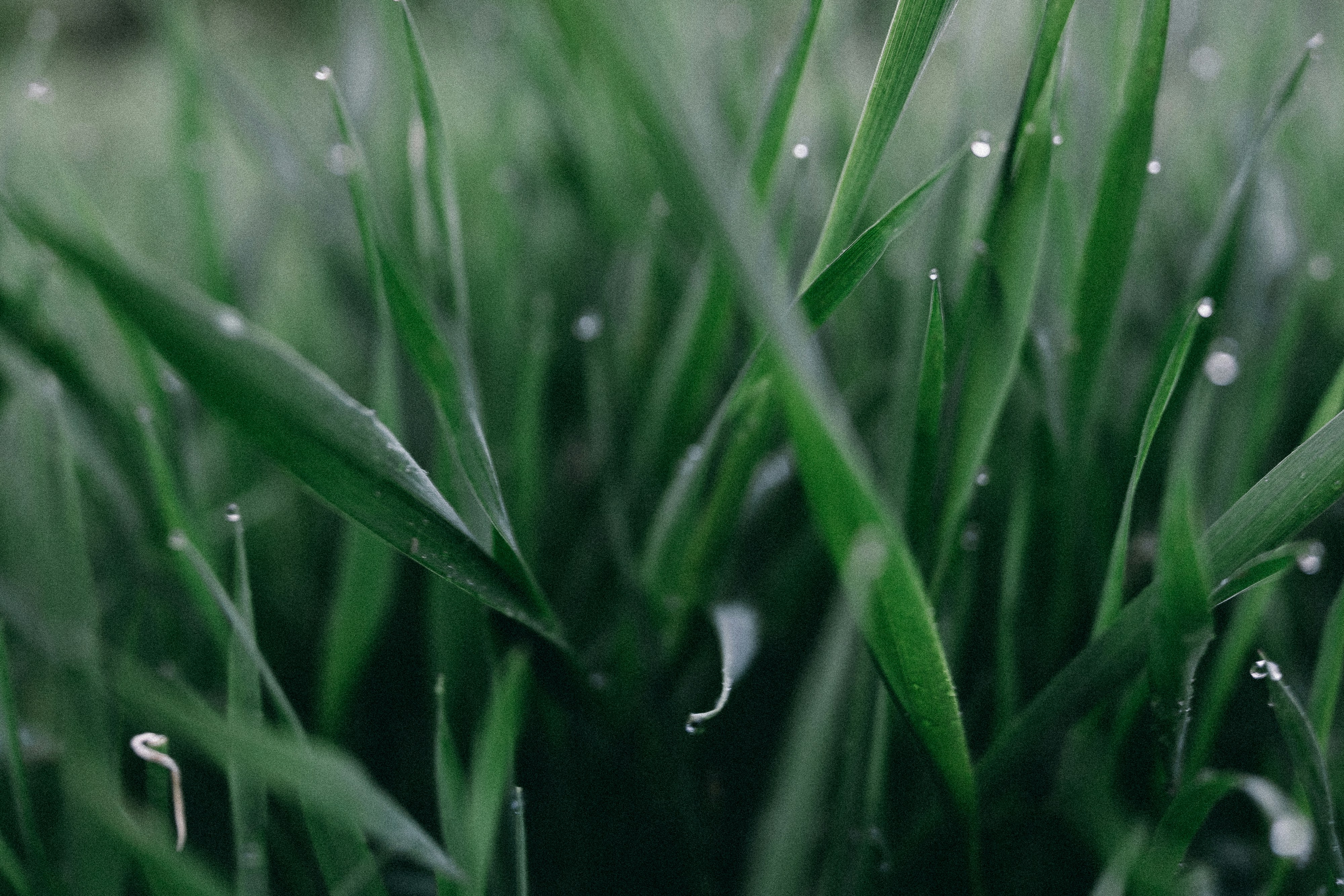 Photo by eugenechystiakov