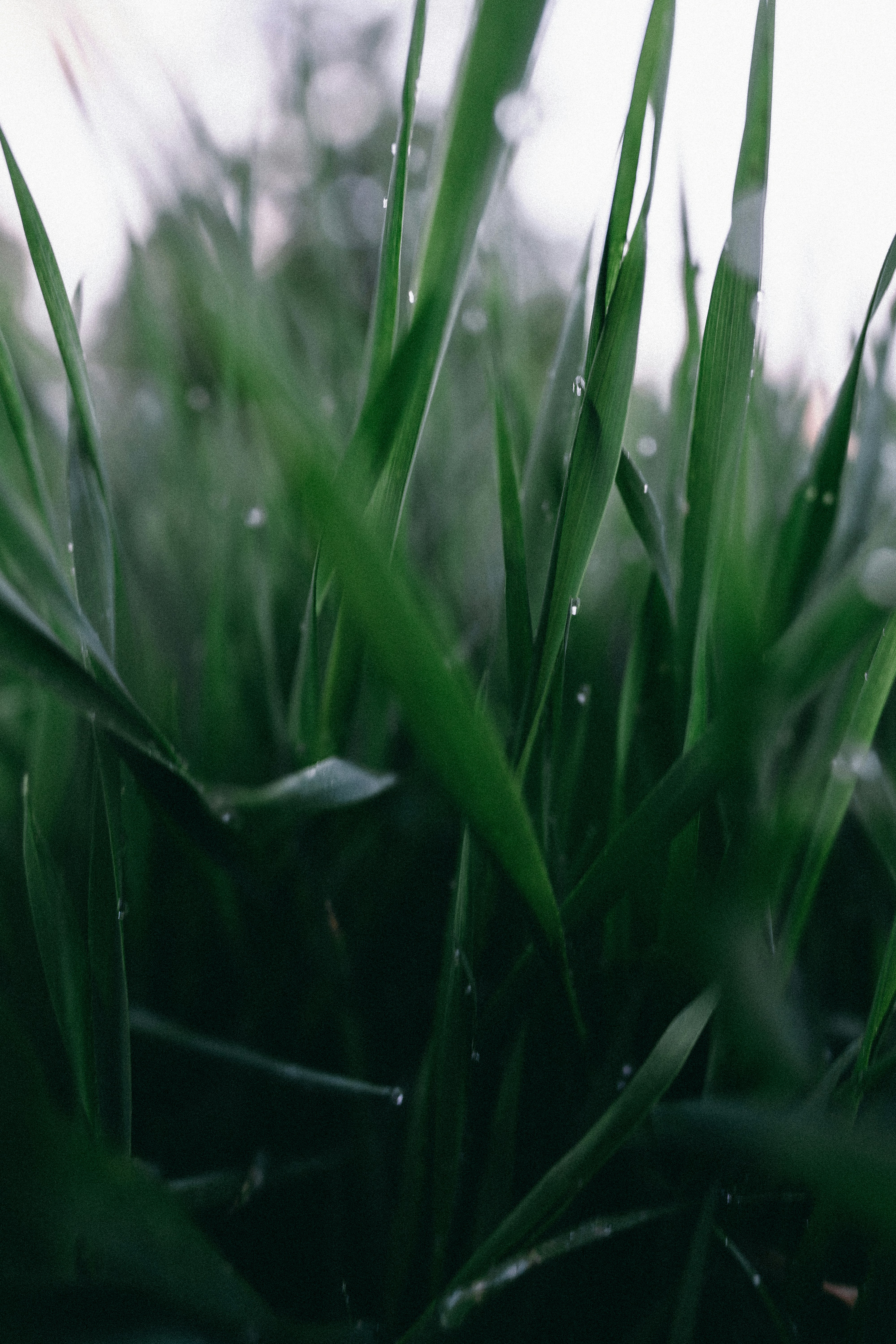 Photo by eugenechystiakov