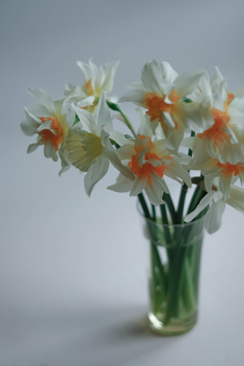 flores brancas e alaranjadas no vaso de vidro transparente