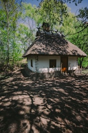 brown and white wooden house surrounded by green trees during daytime