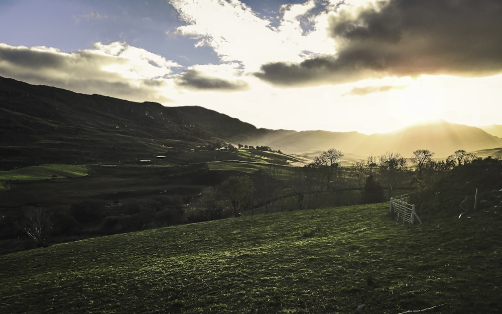 campo de hierba verde bajo el cielo nublado durante el día