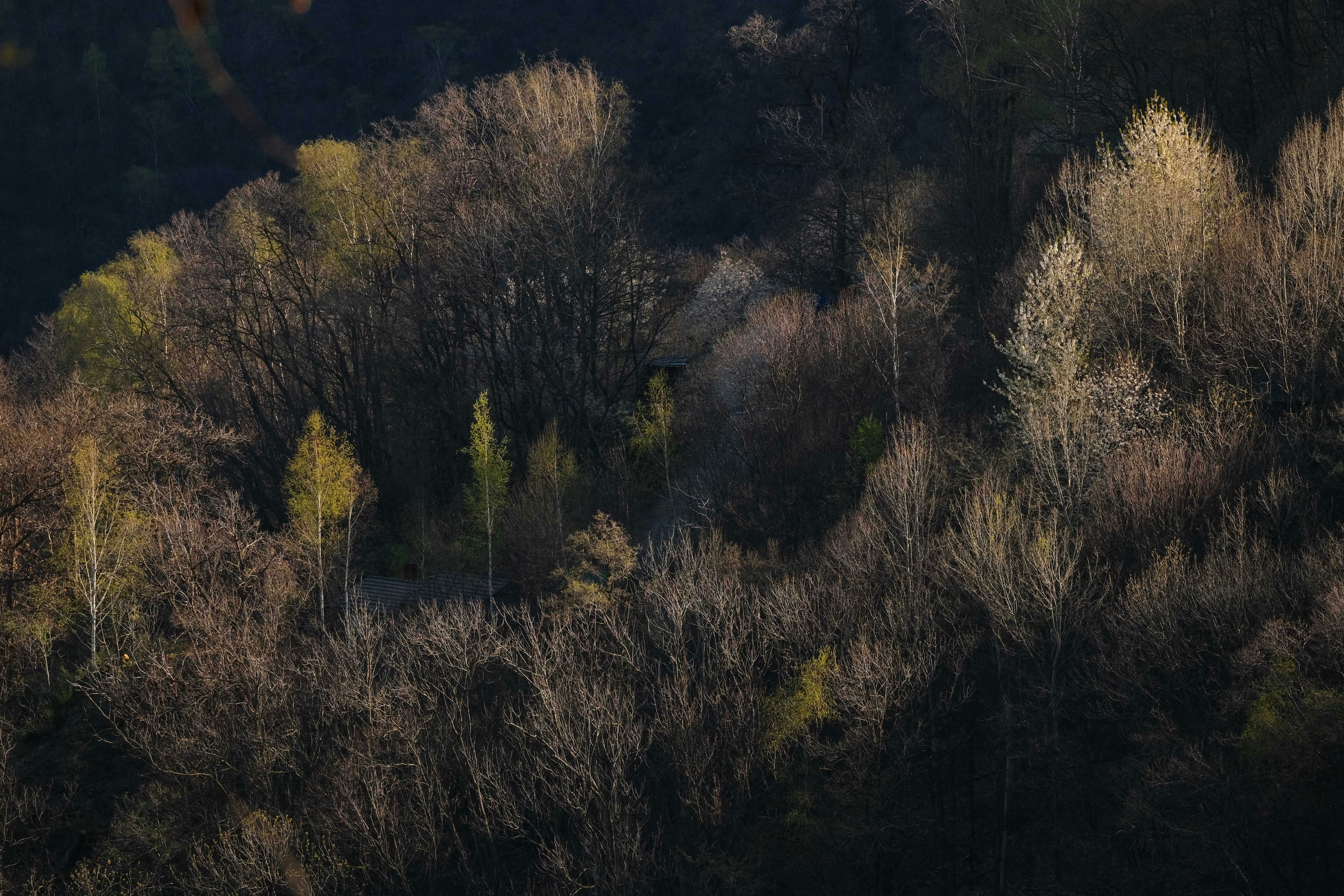 Photo by francesco_ungaro