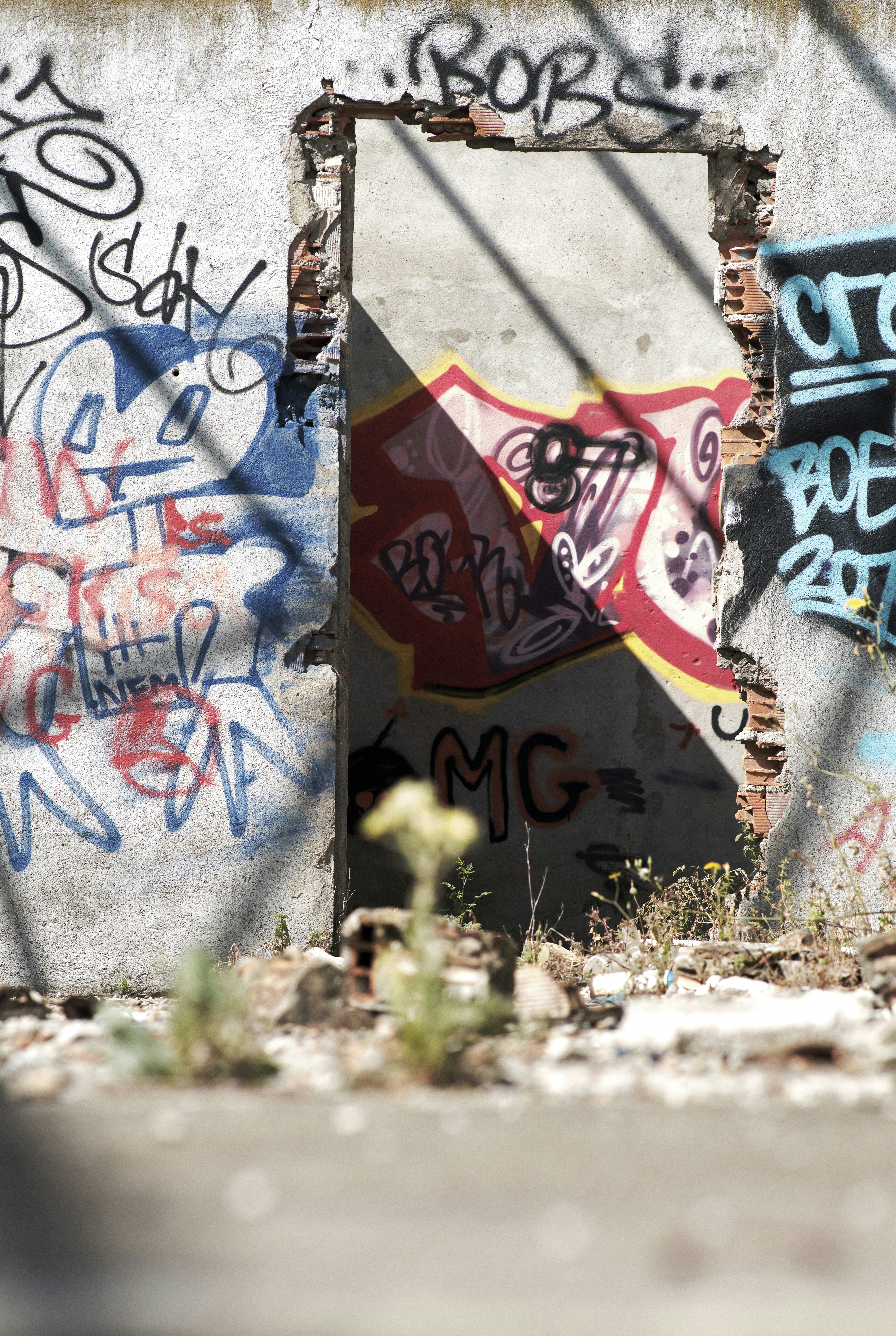 Photo by victor_vector