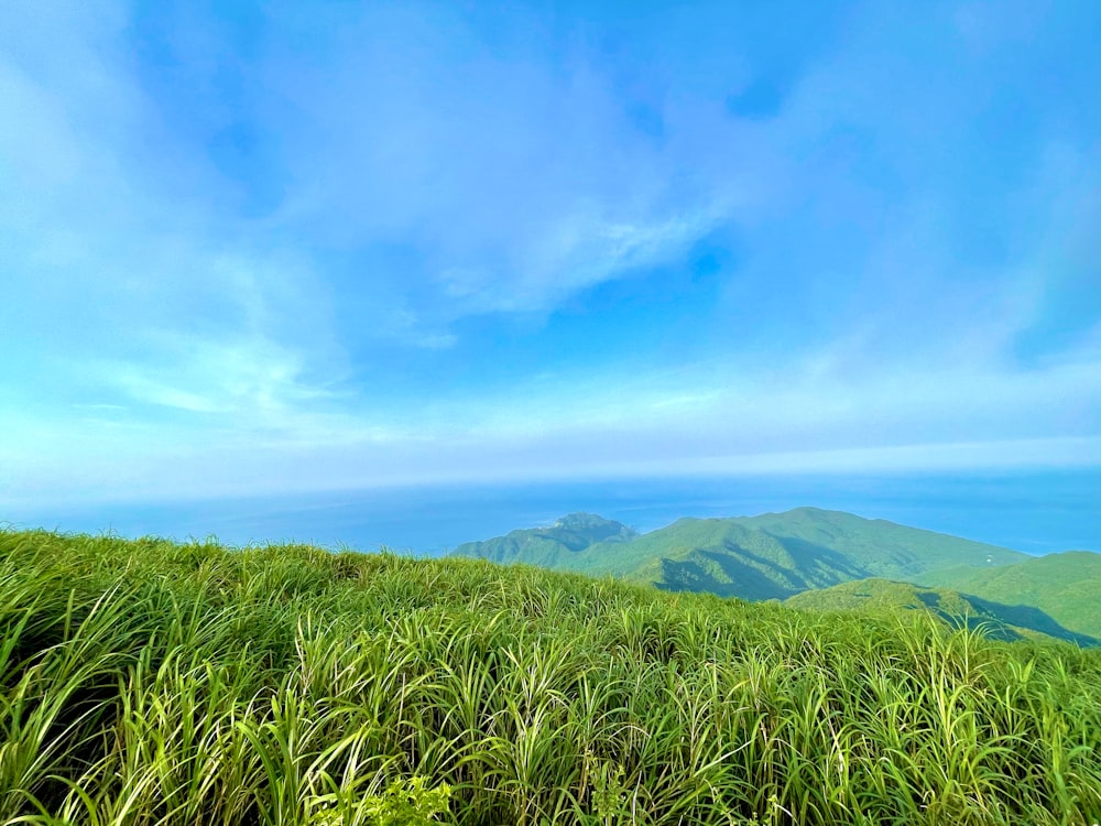 green grass field on mountain under blue sky during daytime