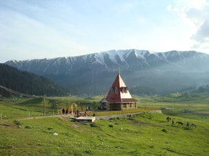 white and brown house on green grass field near mountain during daytime