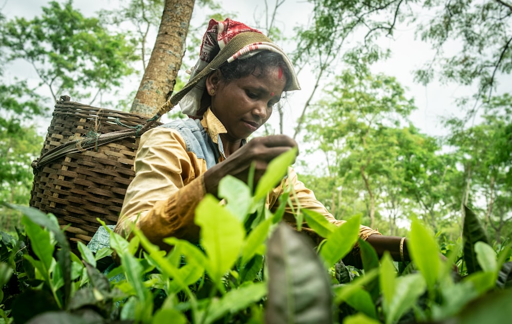 woman in yellow and brown shirt carrying green leaves during daytime