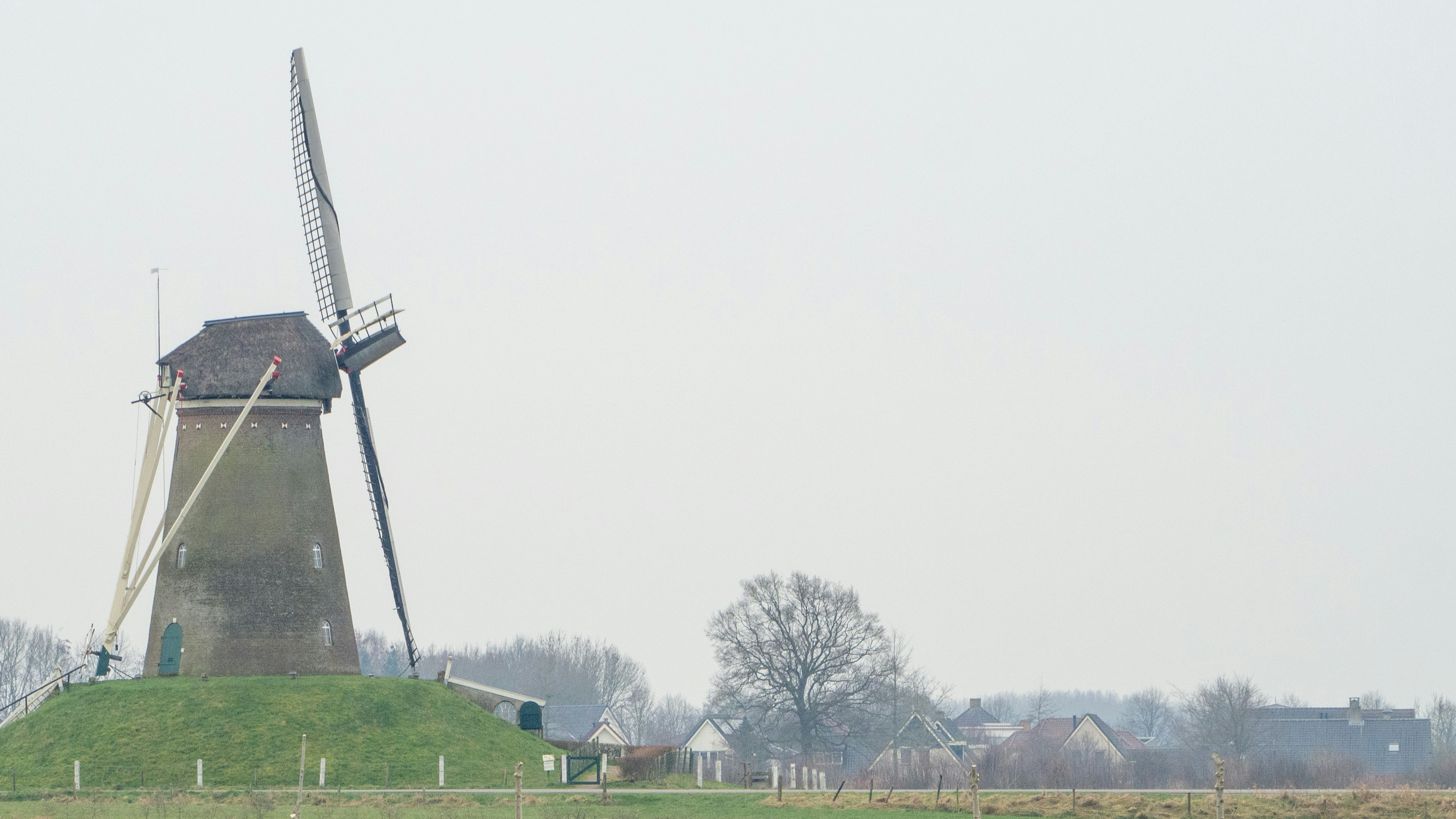 green grass field near green trees under white sky during daytime