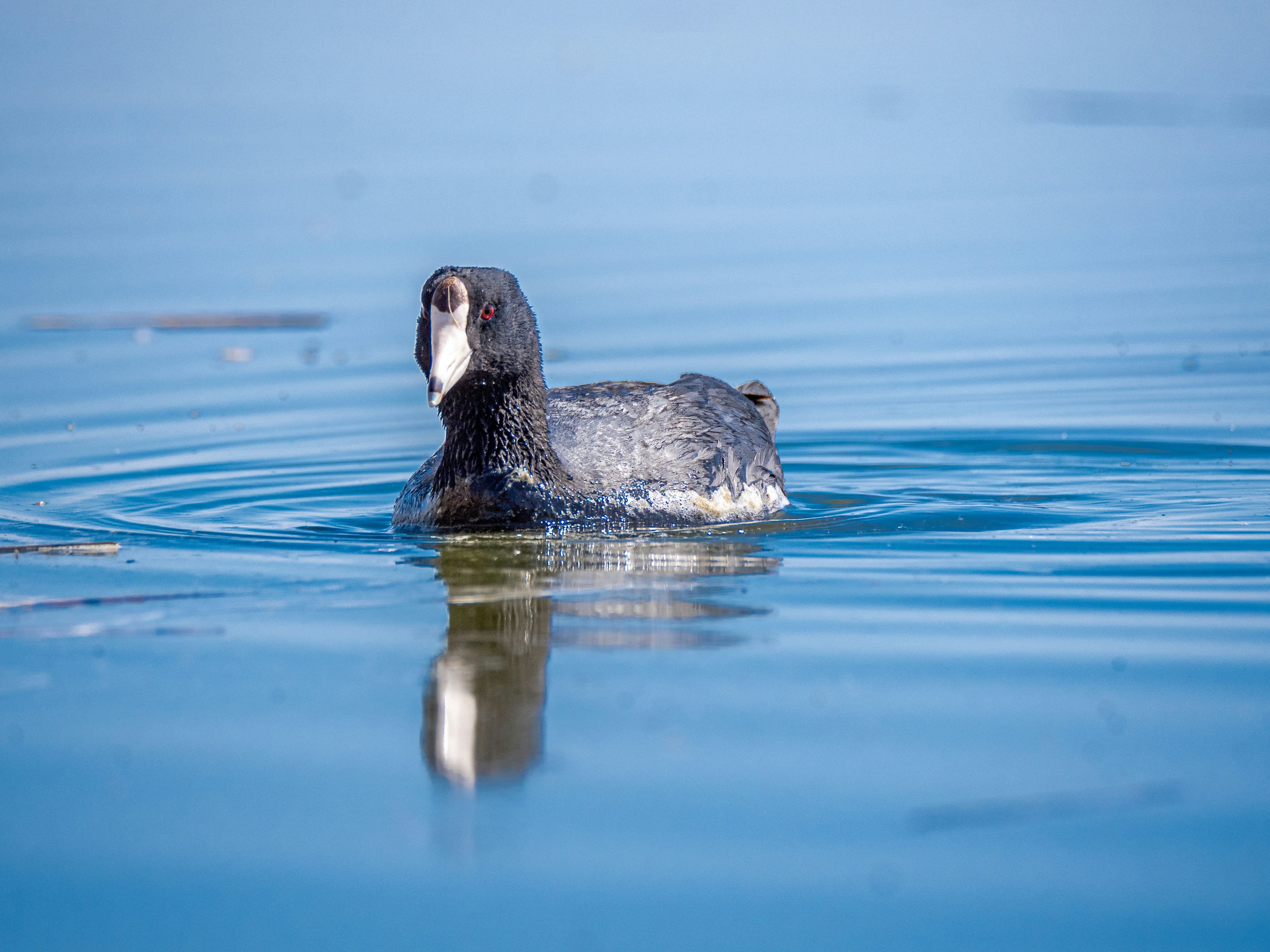 Photo by kieran_wood