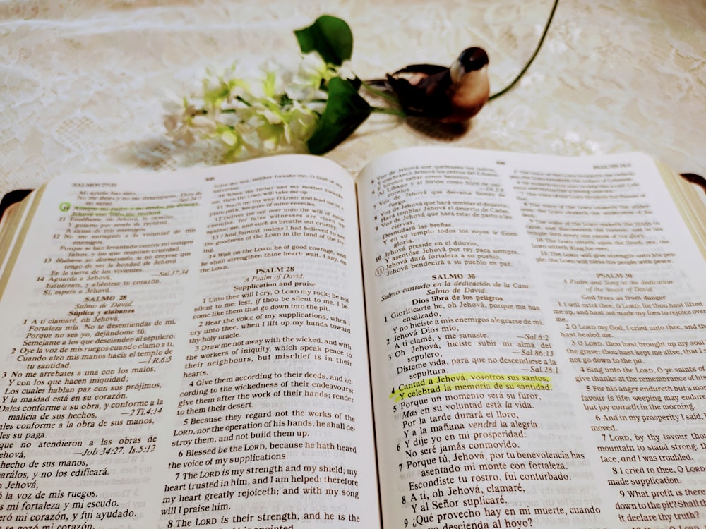 Página de libro blanco con planta verde