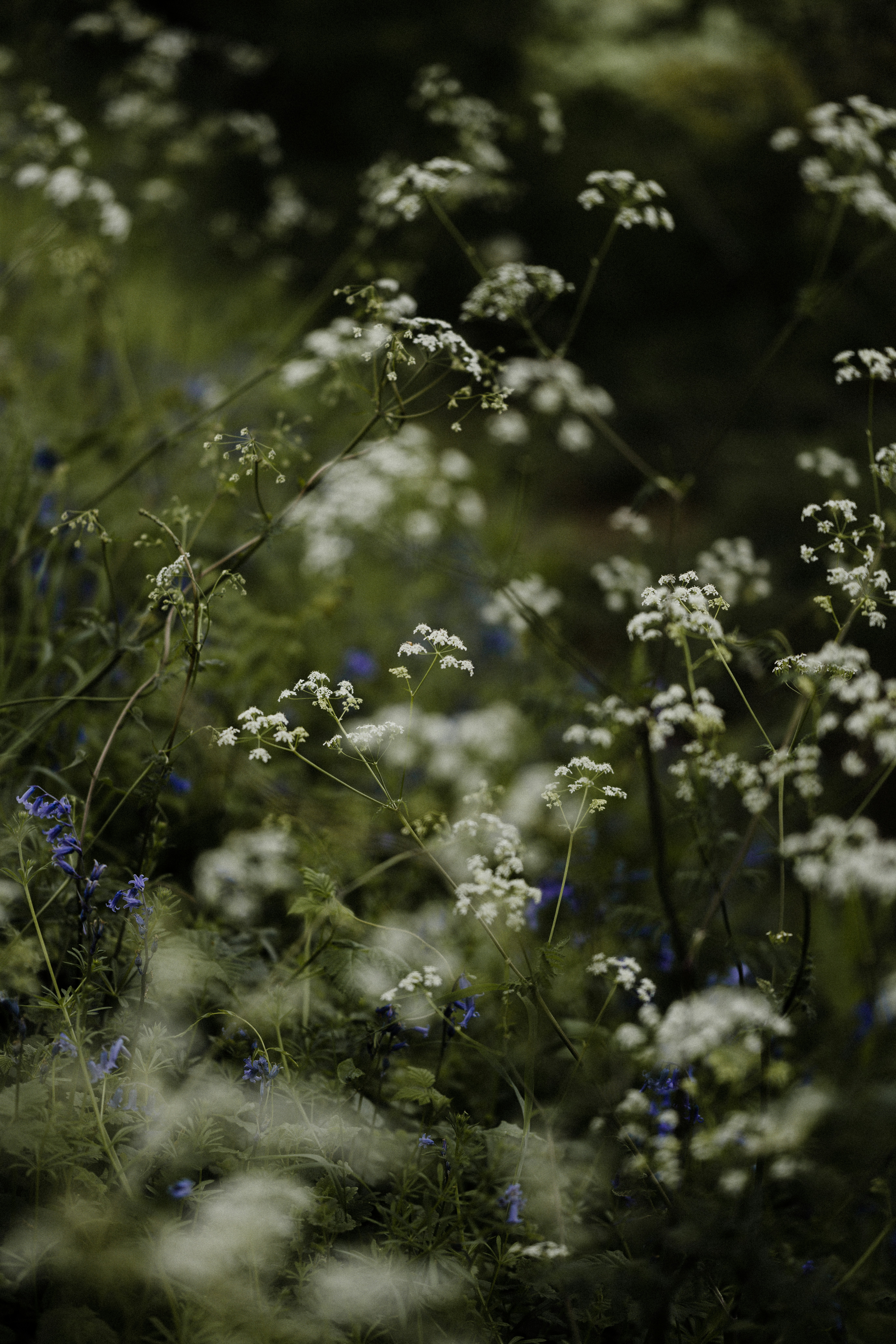 Photo by anniespratt