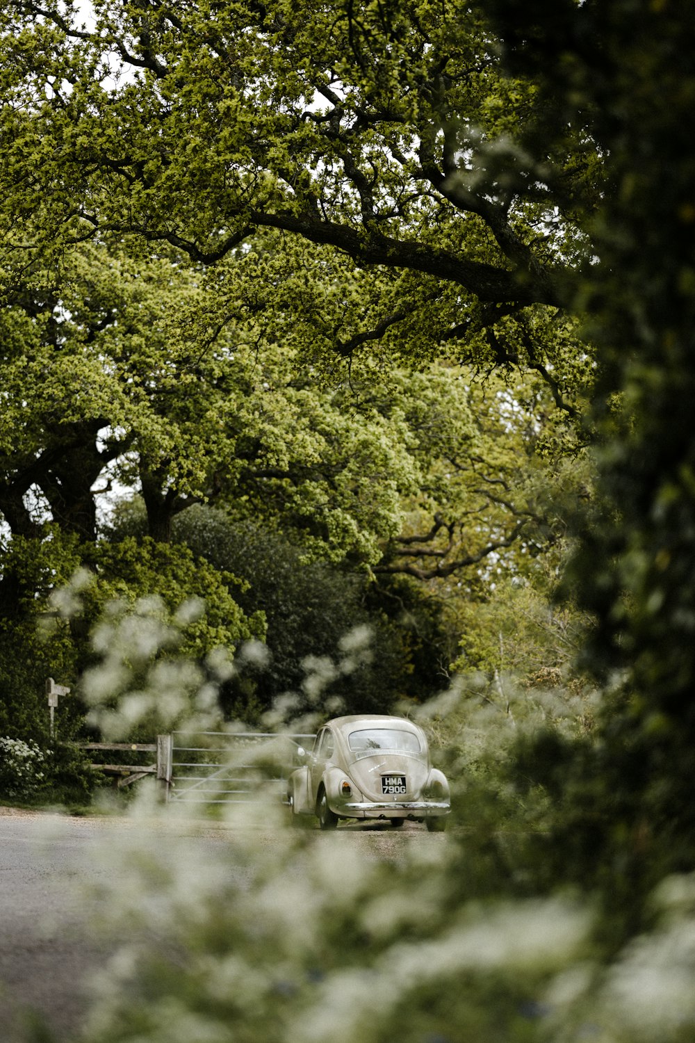 besouro volkswagen branco na estrada durante o dia