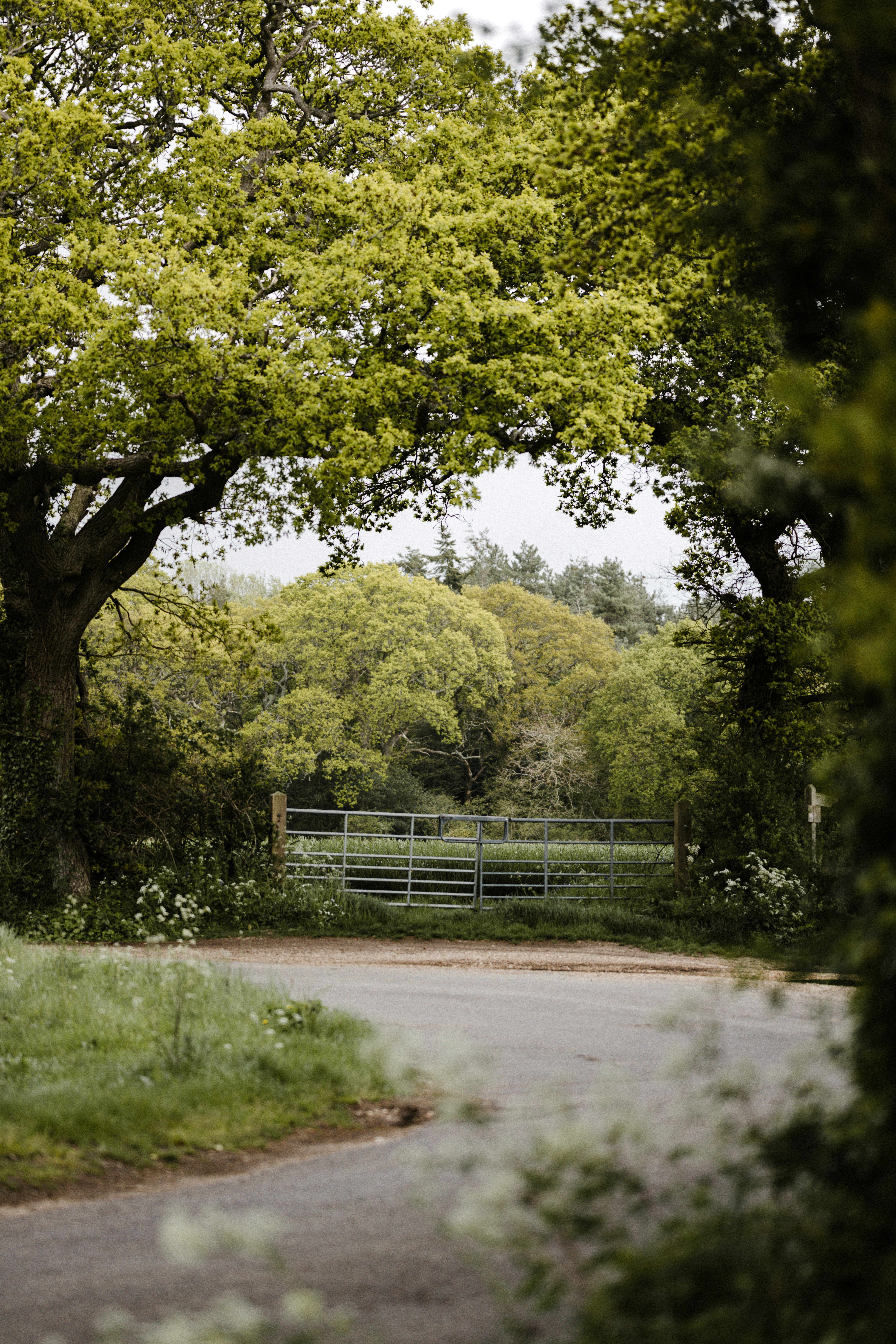 Photo by anniespratt