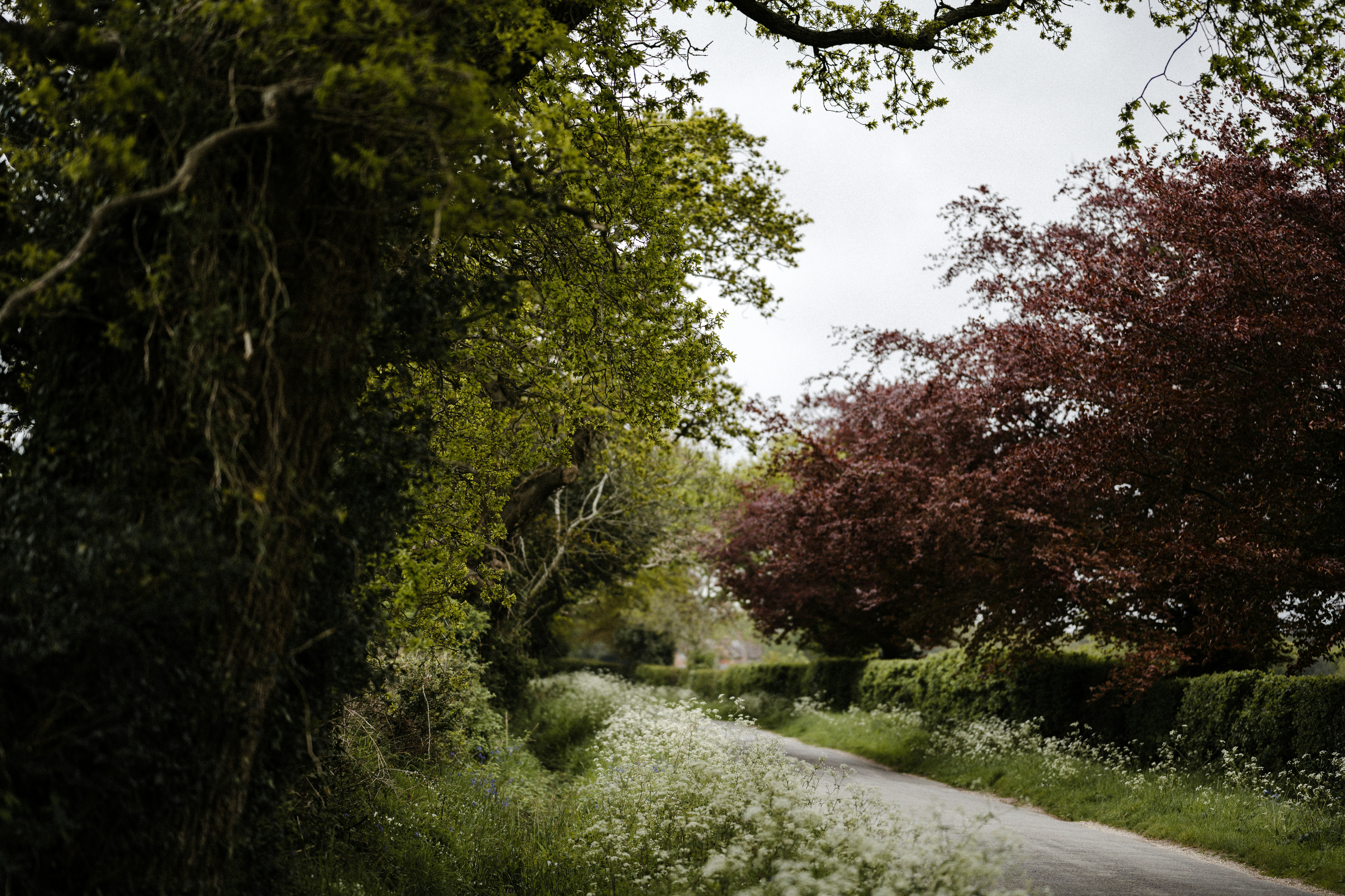 Photo by anniespratt