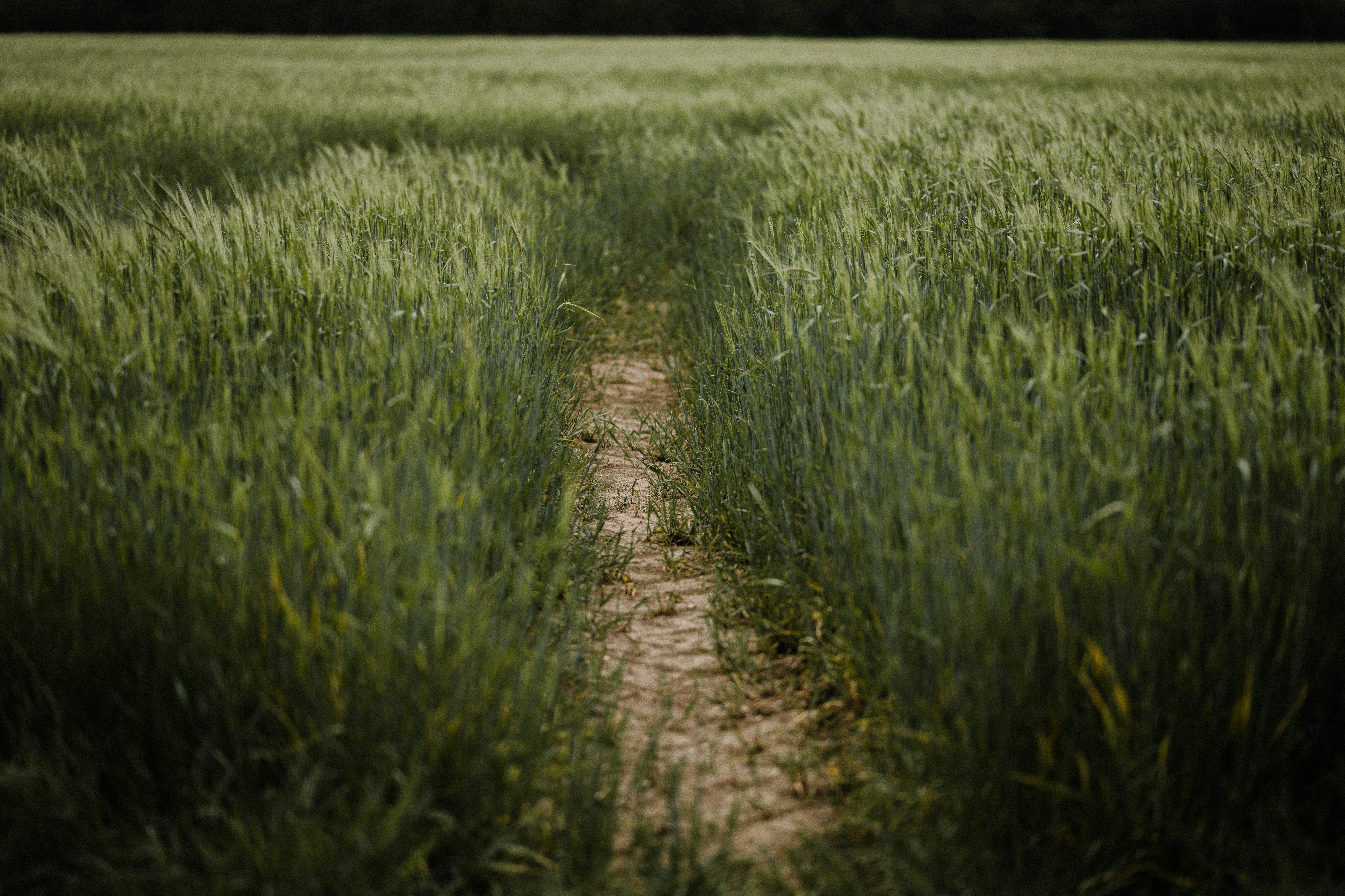 Photo by anniespratt