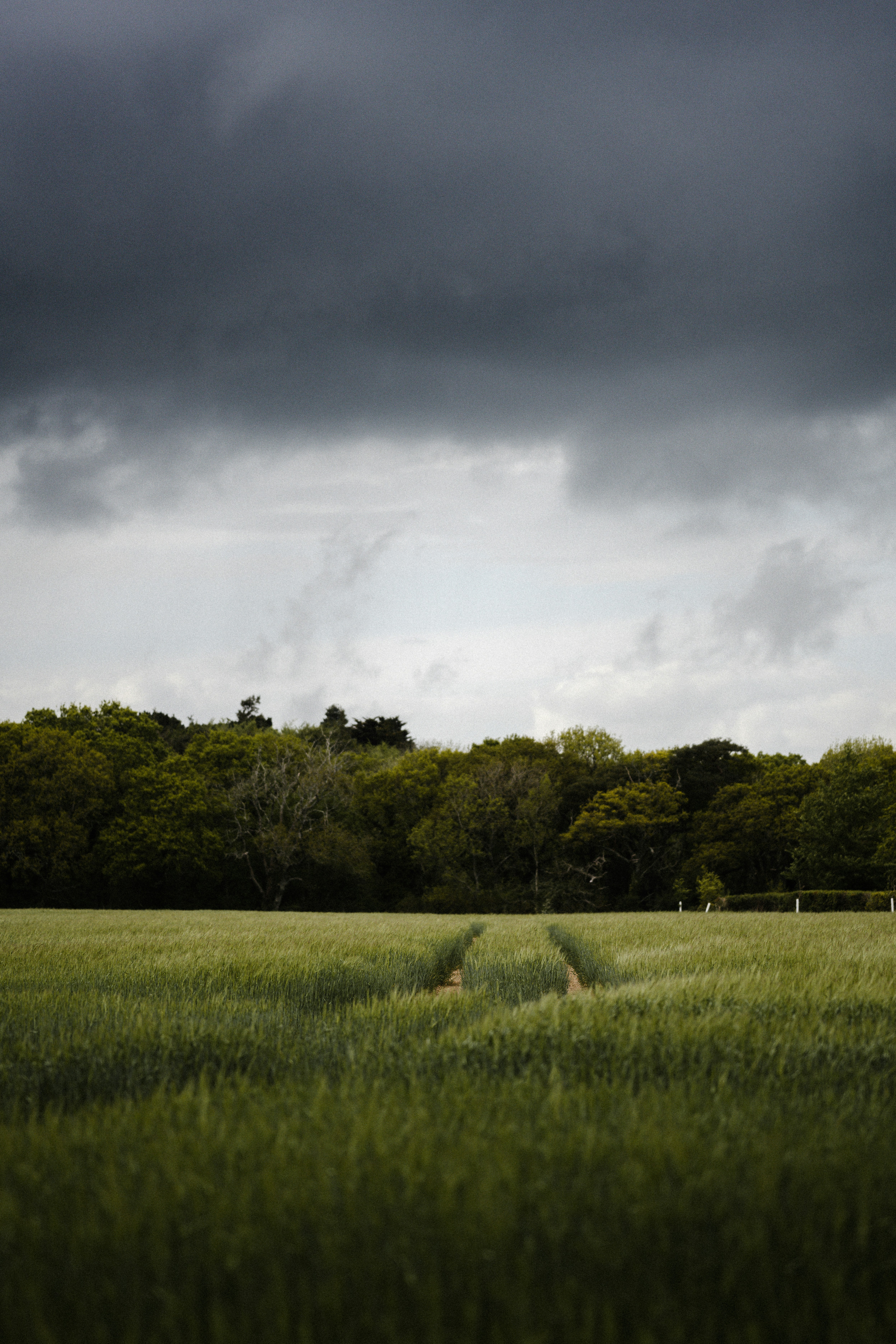 Photo by anniespratt