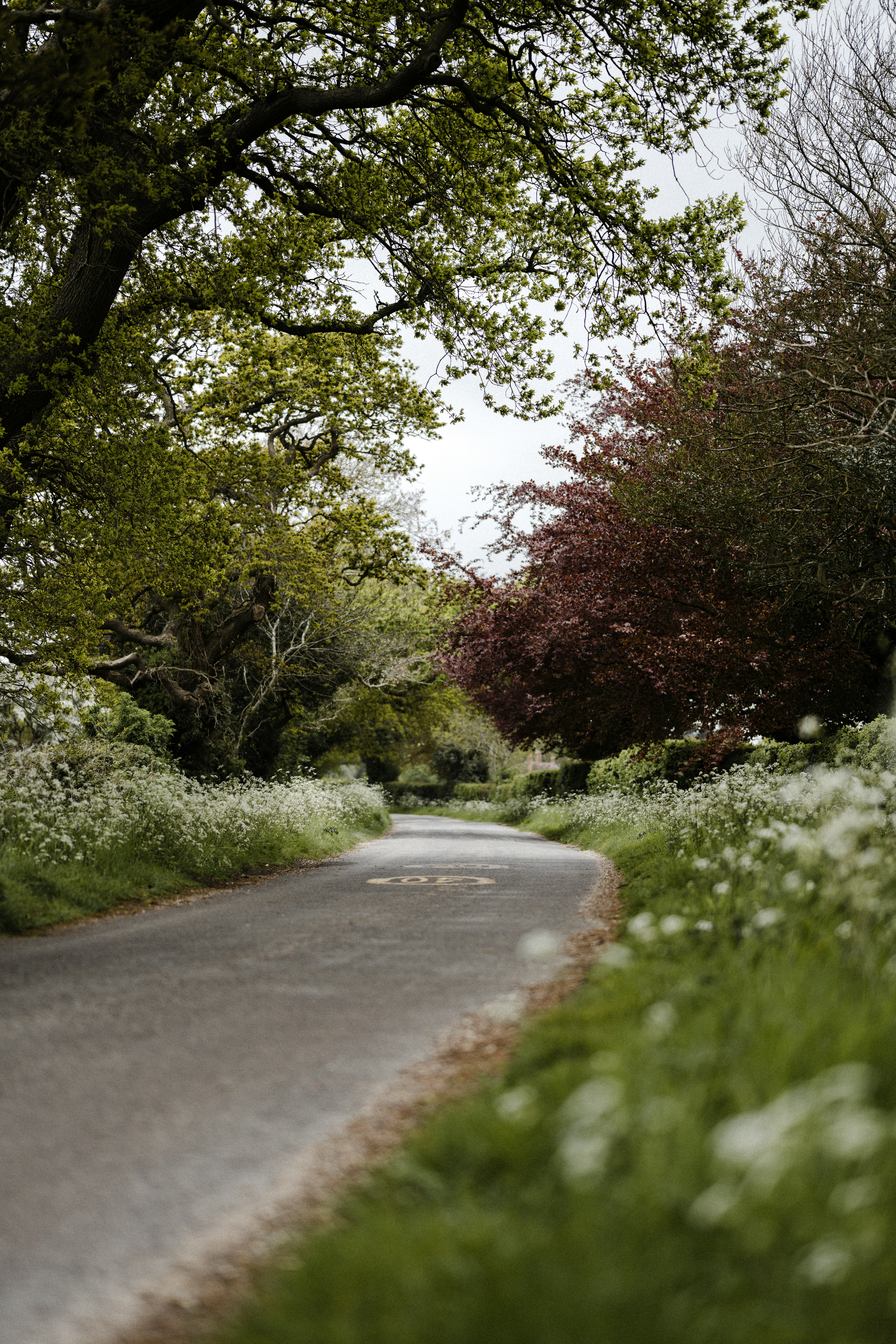 Photo by anniespratt