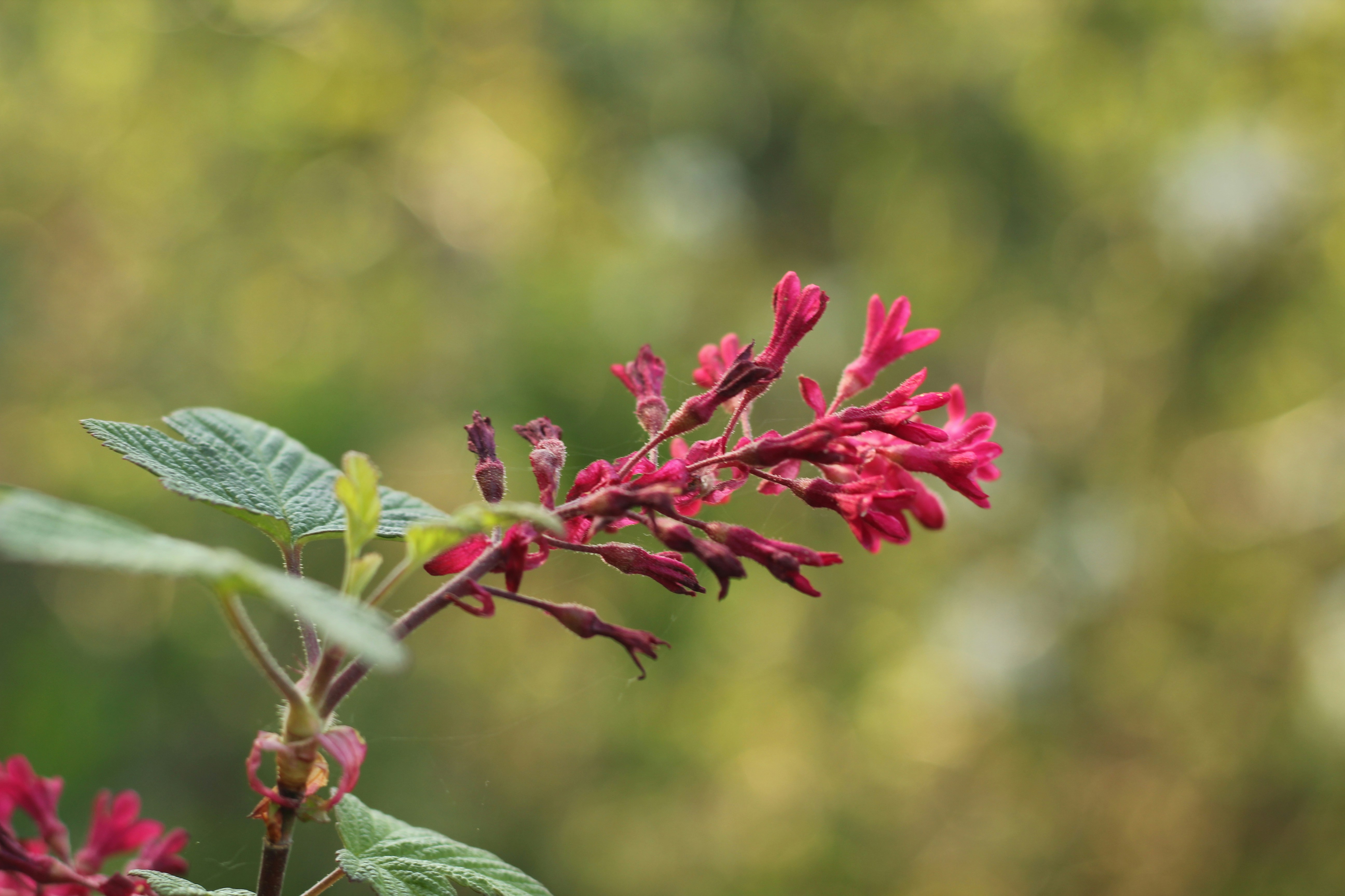 Photo by powerofthefalconer