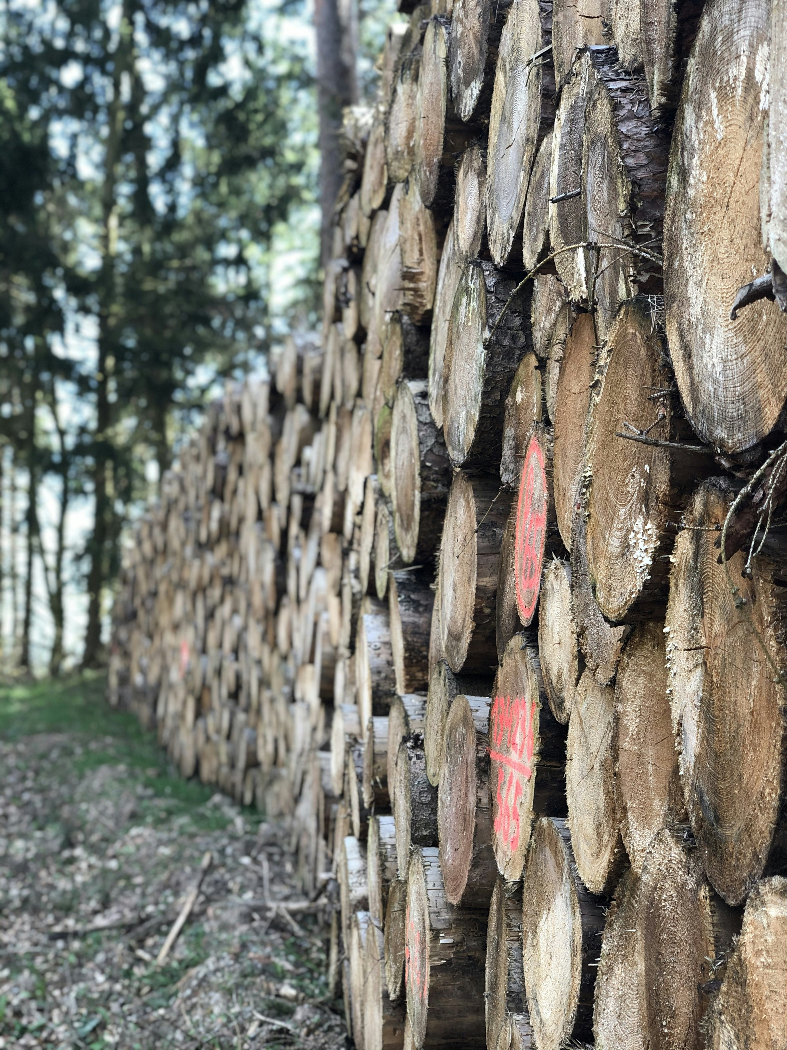 In 2022, Weyerhaeuser managed approximately 10 million ha of land Impaakt