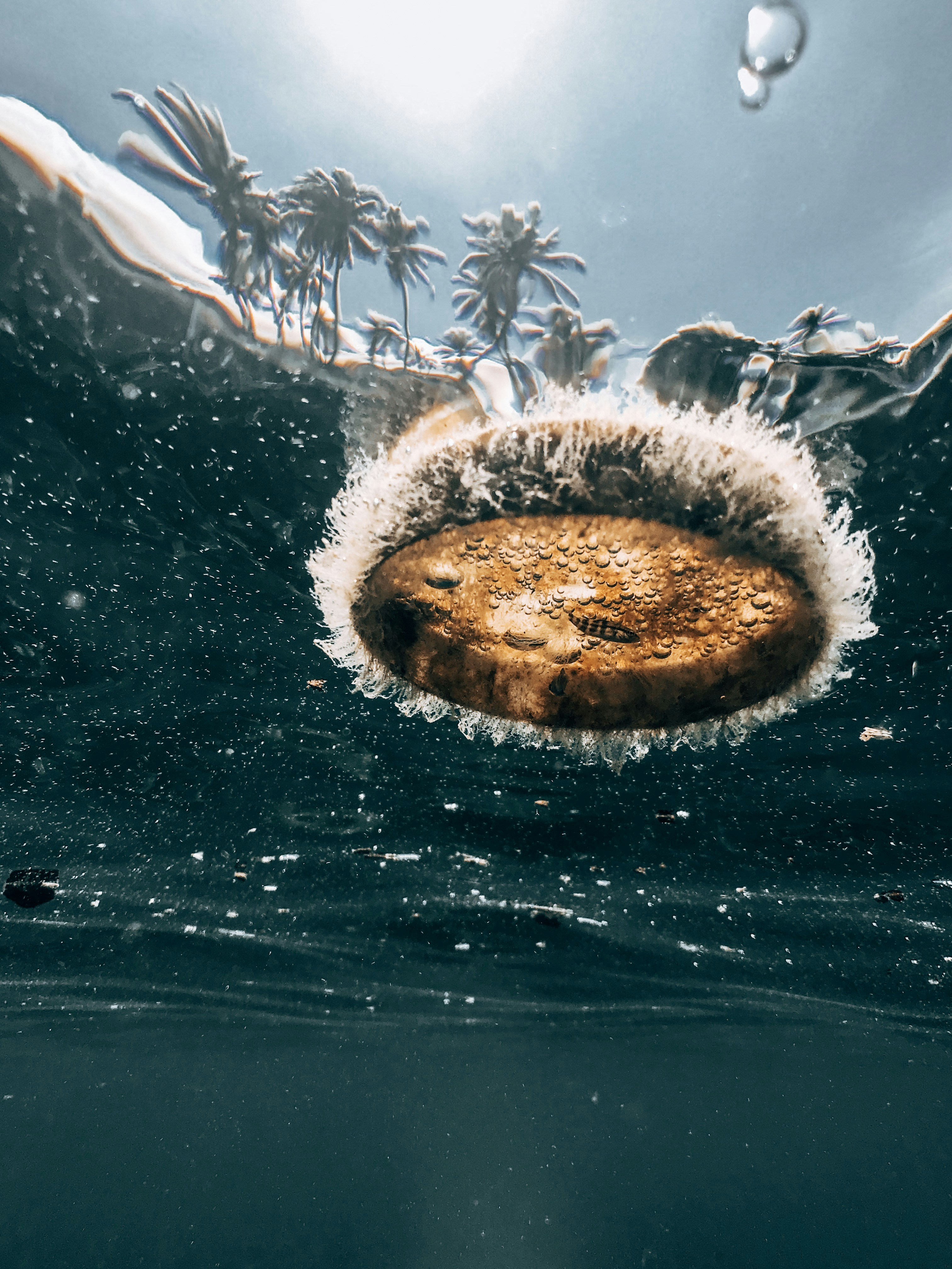 Beacons banner for @clingy
