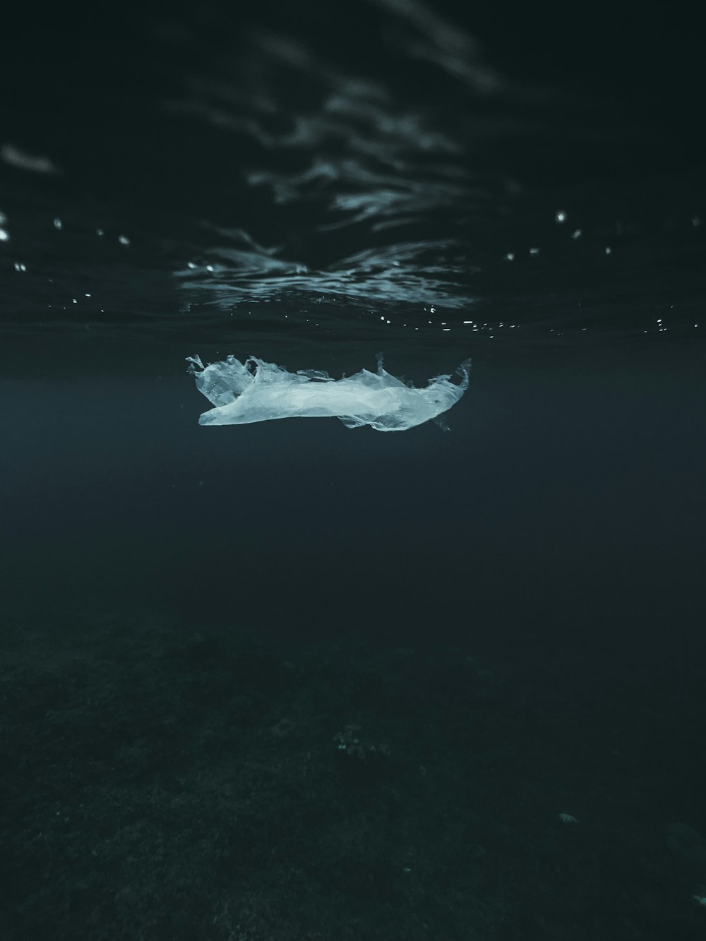 水中の白いドレスの女性