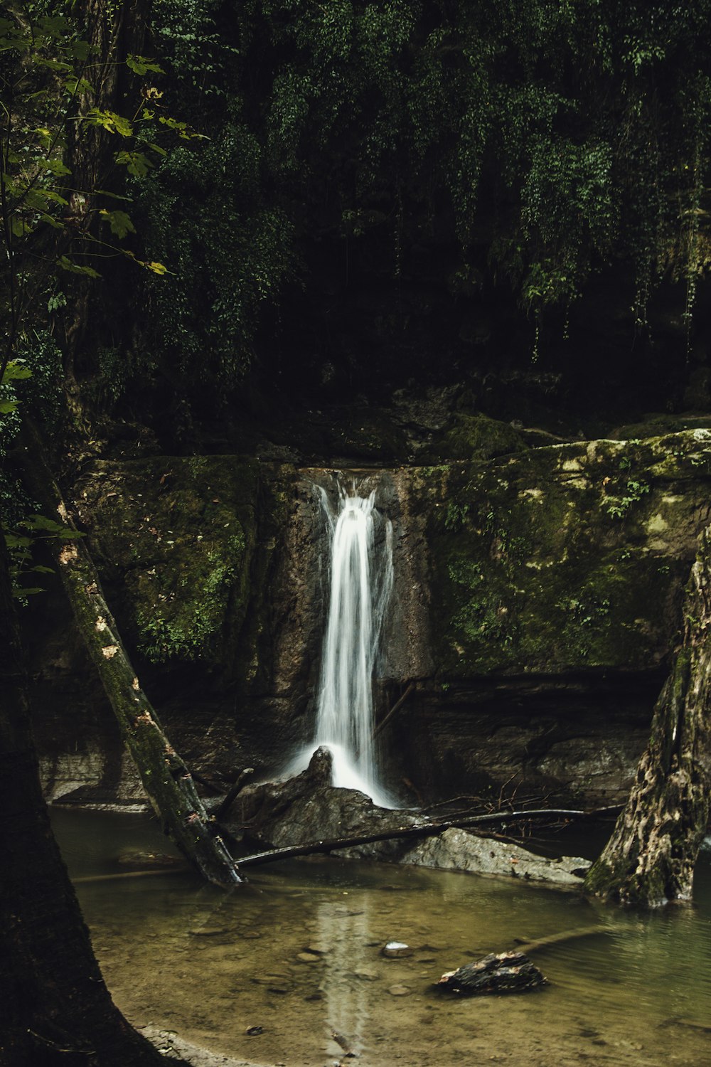 water falls in the middle of the forest