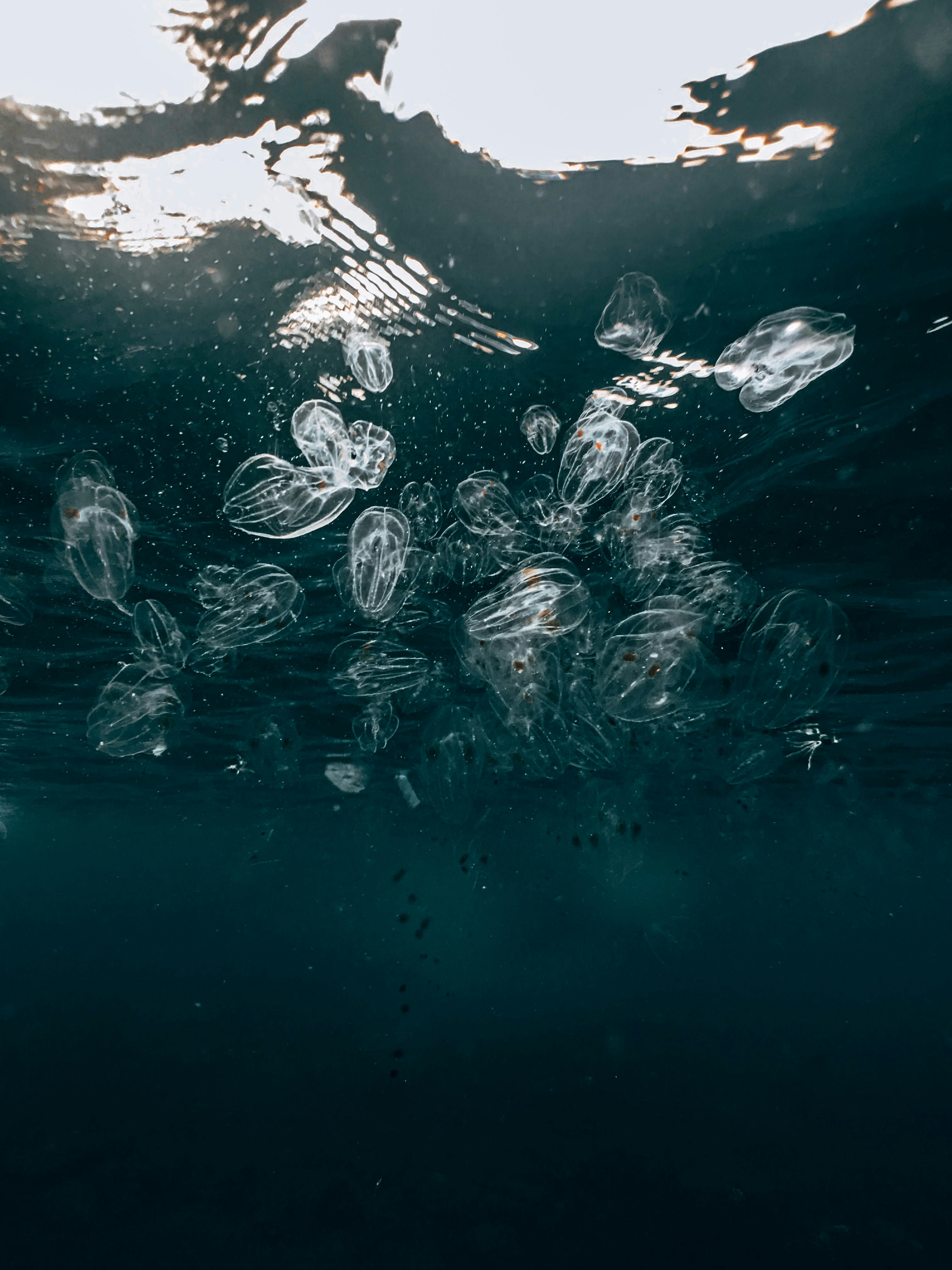 Photo by naja_bertolt_jensen