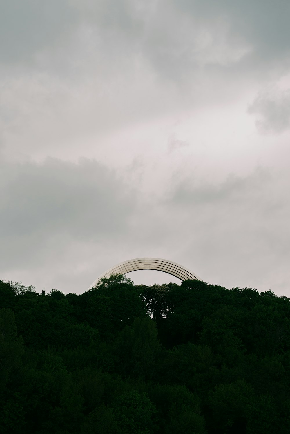 green trees under gray clouds