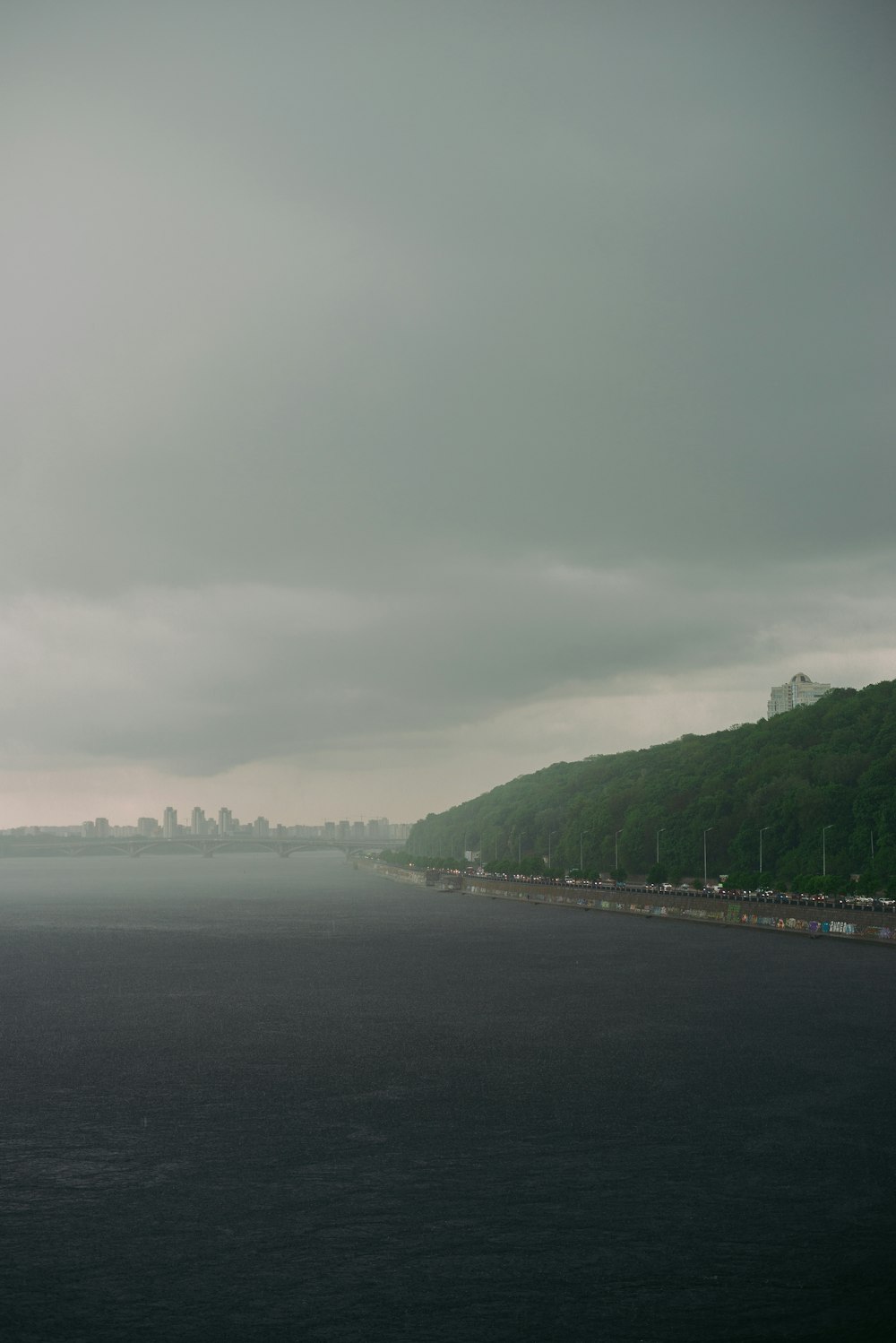 green trees near body of water during daytime