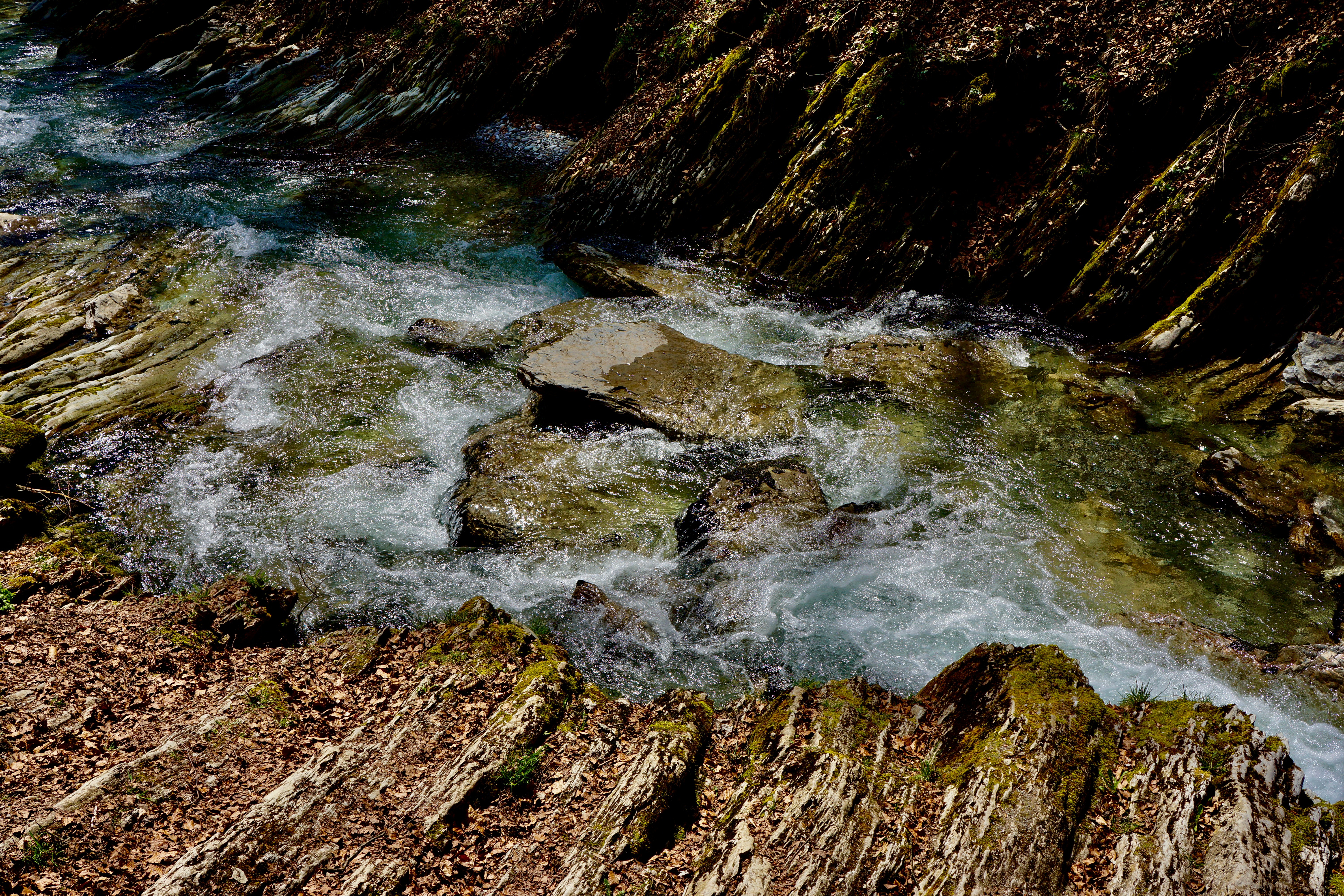 Photo by peterburdon