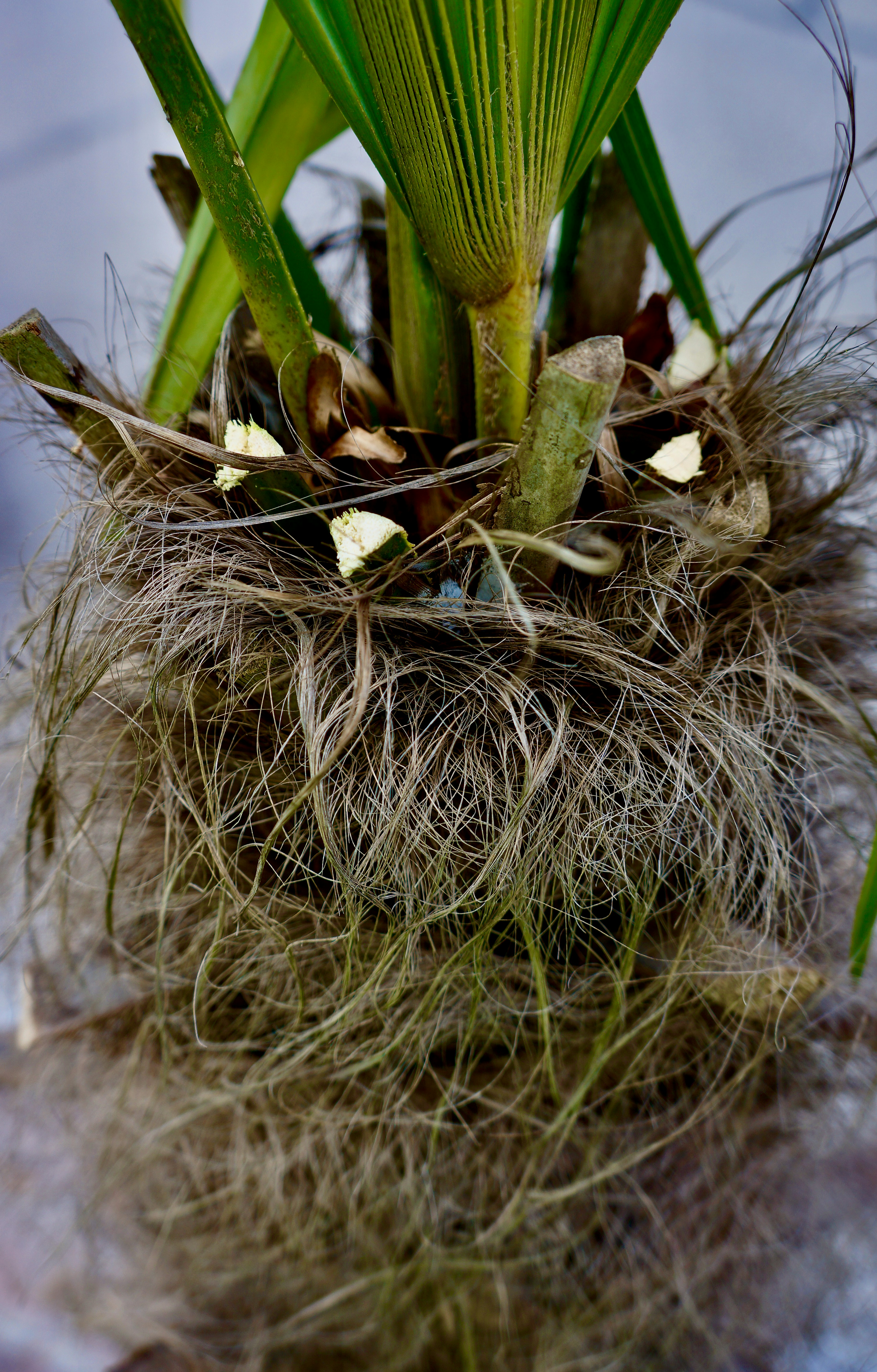 Photo by peterburdon