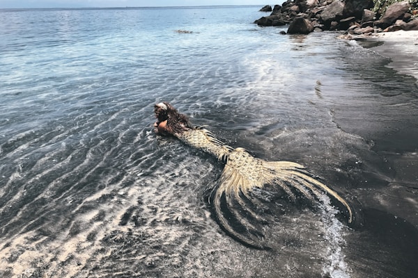 woman in black and white dress on brown rock formation on sea during daytime