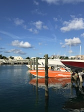 red and white boat on dock during daytime