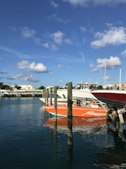 red and white boat on dock during daytime